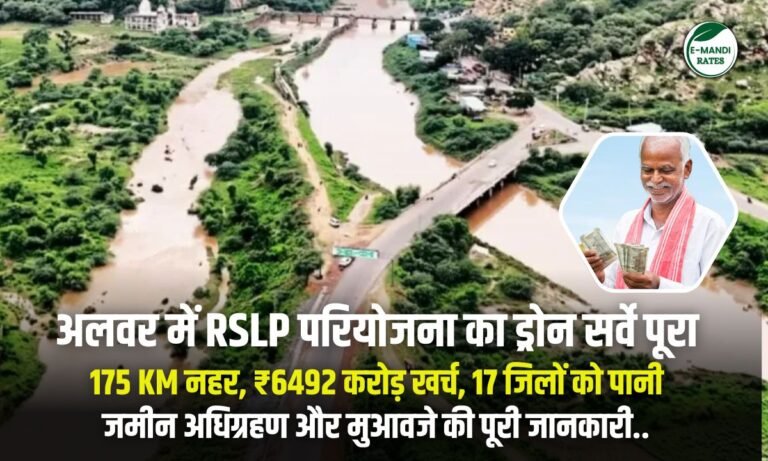 Exclusive RSLP Project: अलवर की 175 KM नहर परियोजना – कब तक पूरा होगा, कितना मिलेगा मुआवजा, पूरी पड़ताल