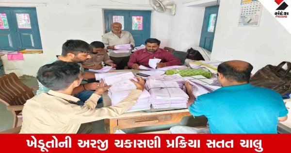 Amreli News: કૃષિ રાહત પેકેજનો લાભ મેળવવા માટે કુલ 2.24 લાખ ખેડૂતોએ અરજી કરી, 1.56 લાખની ચકાસણી પૂર્ણ