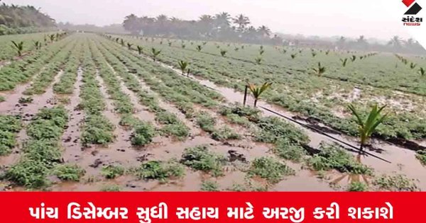 Anand News: આણંદ જિલ્લામાં પાક નુકસાની સહાય મેળવવા વધુ 1000 ખેડૂતોઓ કરી અરજી