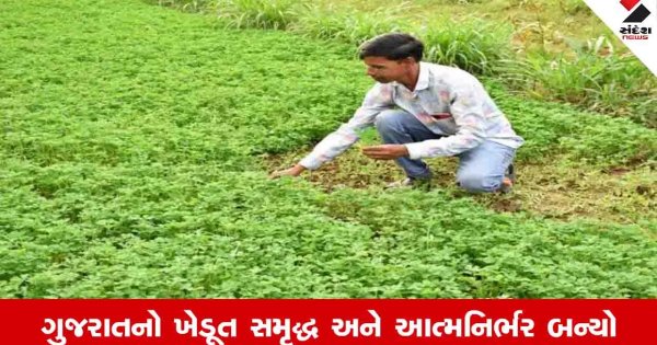 Gandhinagar News:  રાજ્ય સરકાર દ્વારા 27 લાખથી વધુ ખેડૂતોને પ્રાકૃતિક ખેતીની તાલીમ અપાઈ, ખેડૂતને દિવસે વીજળી મળી