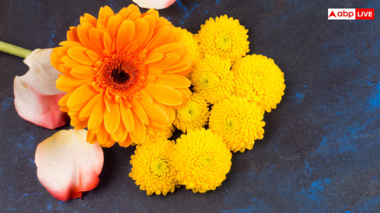 गेंदे के फूलों को घर पर उगायें, सजावट के साथ कीटों का भी करें नाश जानें आसान टिप्स