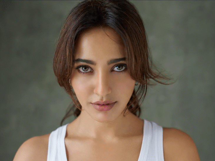 Sonu Sood-Neha Sharma’s properties seized in betting case | सट्‌टेबाजी केस- युवराज-सोनू सूद की संपत्ति जब्त: मनी लॉन्ड्रिंग से पैसे लेने का आरोप, ED ने कई सेलेब्स की 1000 करोड़ की प्रॉपर्टी सीज की