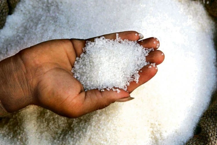 Sugar Mills May Face Higher Sugarcane Payment Arrears as Sugar Prices Fall to Rs 36 Per Kg