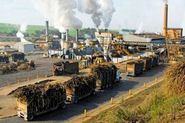 India’s Sugar Production Rises 24 pc by December-End; Higher Crushing Drives Strong 2025–26 Season