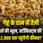 गेहूं के दाम में तेजी: मिलर्स की भूख, स्टॉकिस्ट्स की चाल, क्या 2,900 तक पहुंचेगी कीमत? जाने
