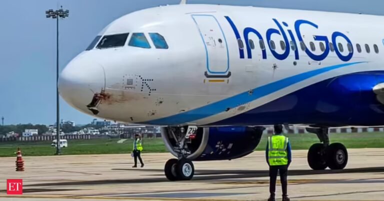 IndiGo offering vouchers worth Rs 10,000 under ‘Gesture of Care’ offer. Here’s who is eligible and how to claim it