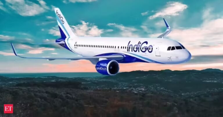 IndiGo flies high on punctuality chart despite December turbulence