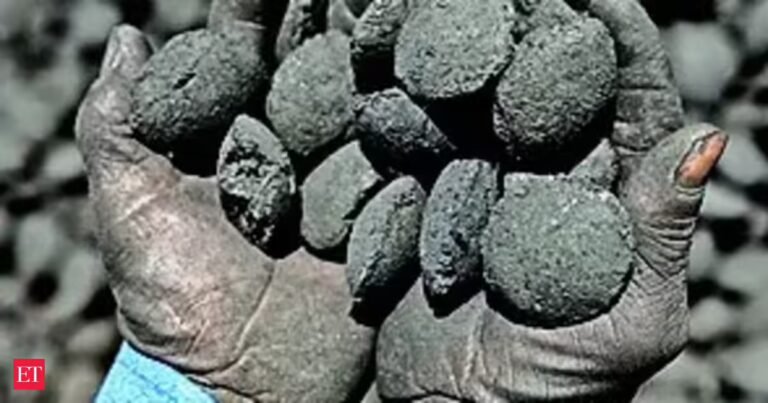 Mines ministry proposes partial lease execution to speed up production from auctioned blocks