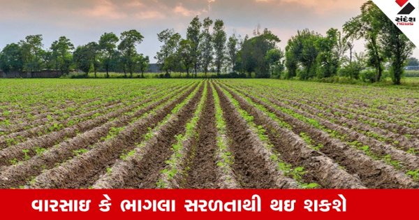 Gandhinagar News : ખેતીની જમીનમાં 10 ગુંઠાથી વધુના ટુકડાને નિયમિત કરાશે, કાયદામાં ફેરફારથી વારસાઇ કે ભાગલા સરળતાથી થઇ શકશે