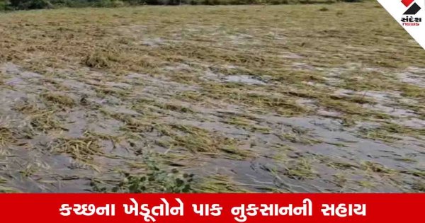 Kachchh: જિલ્લામાં 76 હજારથી વધુ ખેડૂતોને 244 કરોડની સહાય ચૂકવાઈ