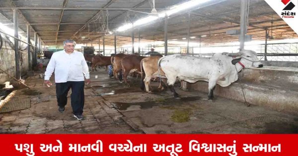 Agriculture News: શોખથી શરુ થયેલી ગૌ સેવાએ સાંતેજના મહેન્દ્રભાઈને શ્રેષ્ઠ પશુપાલકનું સન્માન અપાવ્યું