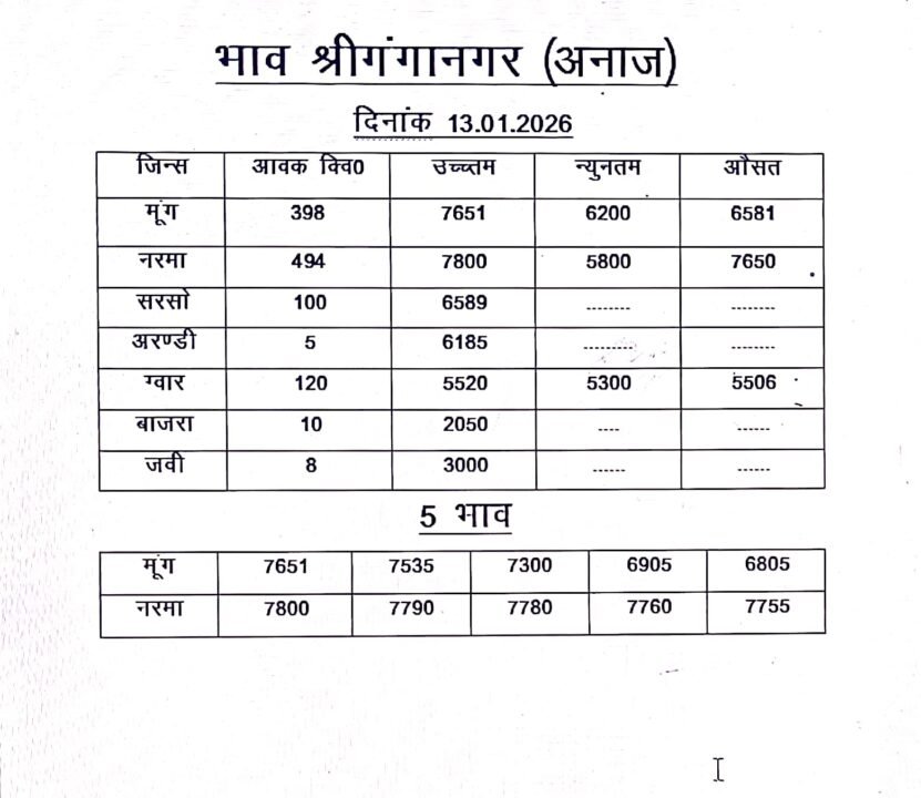 श्री गंगानगर मंडी का भाव 13 जनवरी 2026