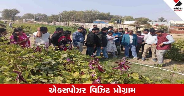 Agriculture News : ગુજરાતની પ્રાકૃતિક ખેતીની સુવાસ અમરેલીથી ઓડિશા સુધી પહોંચશે