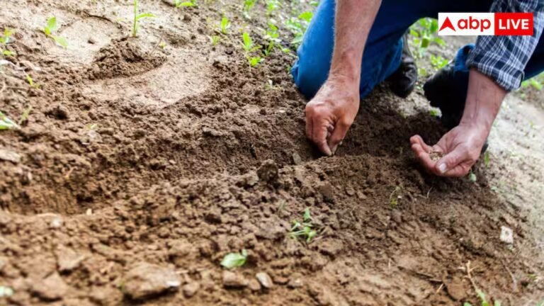 सर्दियों में बेस्ट है इन सब्जियों की खेती, एक क्लिक में चेक कर लें पूरी लिस्ट
