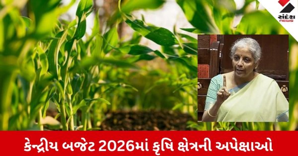 Union Budget 2026: કેન્દ્રીય બજેટ 2026માં કૃષિ ક્ષેત્રની અપેક્ષાઓ