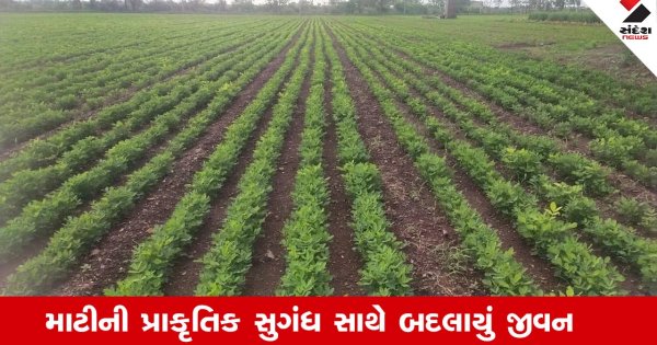 Agriculture News : માટીની પ્રાકૃતિક સુગંધ સાથે બદલાયું જીવન, ગઢડાના યોગેશભાઈની પ્રાકૃતિક ખેતીની પ્રેરક સફર