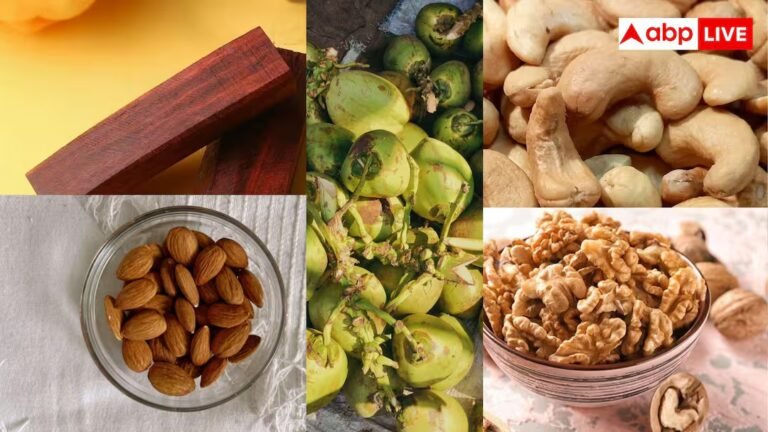 चंदन-काजू-कोको-अखरोट-बादाम और नारियल की खेती करने वालों को होगा फायदा, जानें सरकार से कैसे मिलेगी मदद?