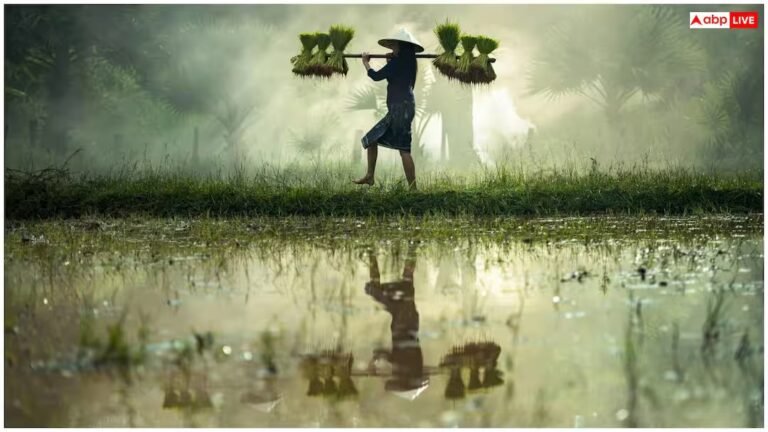 India AI Impact Summit 2026: छोटे किसानों की भी मदद कर रहा एआई, मिट्टी से लेकर फसल तक के बारे में मिलती है जानकारी