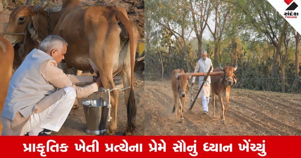Agriculture News : ભીમગઢમાં પ્રાકૃતિક ખેતીના મોડલ ફાર્મની મુલાકાત લઈ હળ ચલાવ્યું અને ગાયનું દોહન કરી ધરતીપુત્રોને પ્રોત્સાહિત કર્યા
