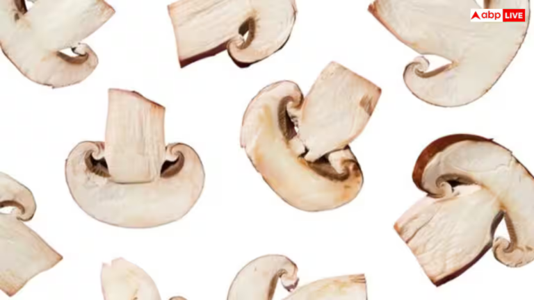 घर बैठे शुरू करें ऑर्गेनिक मशरूम की खेती, कम लागत में होगी तगड़ी कमाई;जानिए पूरी प्रक्रिया