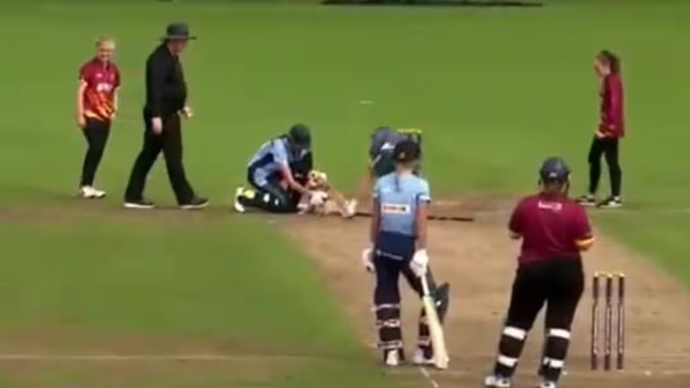 Watch: बैटर ने खेली शॉट, अचानक आया कुत्ता और मुंह में दबा ली गेंद; मजेदार वीडियो हो रहा वायरल