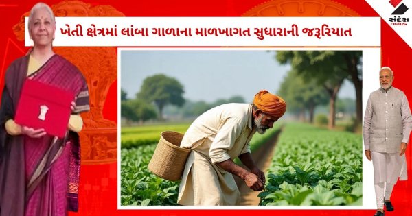 Agriculture Budget 2026: ટેકનોલોજી અને ક્લાયમેટ ફ્રેન્ડલી ખેતી પર ભાર, શું ખેડૂતોની આવક બમણી થશે?