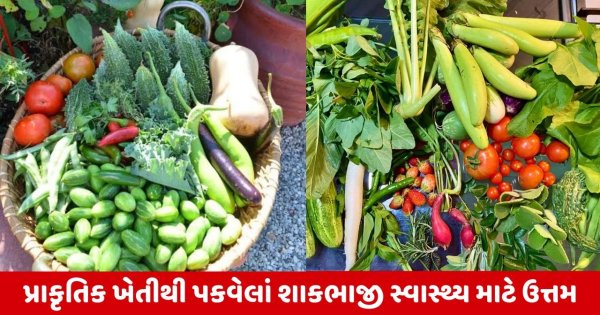 Natural Farming : ગ્લોબલ વોર્મિંગના લીધે બદલાતા હવામાનમાં શાકભાજીના પાકોનું રક્ષણ તથા સારી આવક મેળવવા વૈજ્ઞાનિક માવજત અગત્યનું પાસું