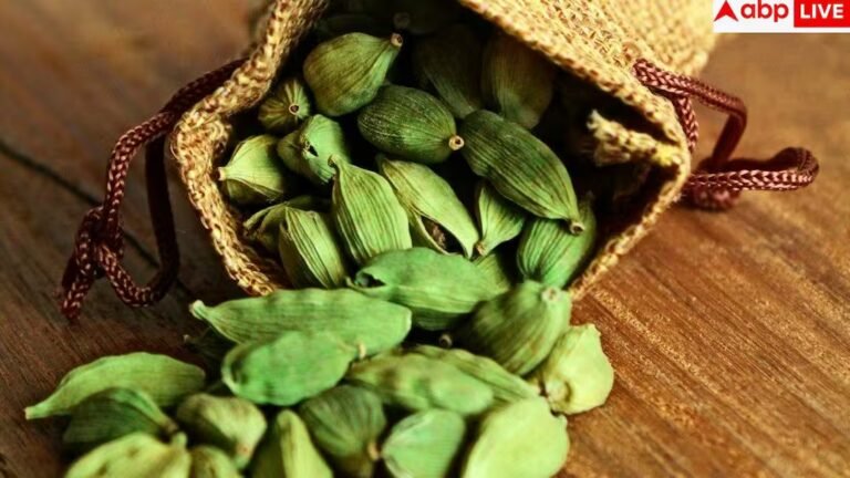 Cardamom Benefits: खाने के बाद इलायची खाने से पेट पर क्या पड़ता है असर, जानें क्या कहते हैं डॉक्टर?