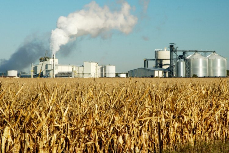 Viksit Bharat and the Farm Economy: Why India’s Net Zero Path Will Be Won—or Lost—in Agriculture