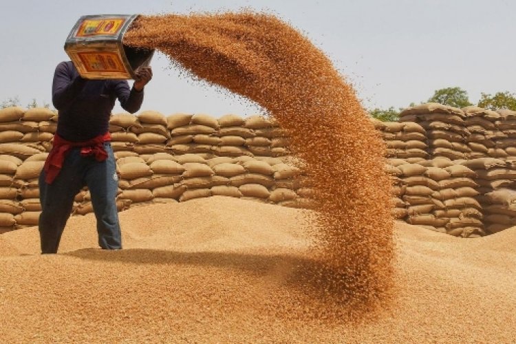 Centre Withdraws Wheat Stock Limit Order Ahead of Festive Season as Supplies Improve