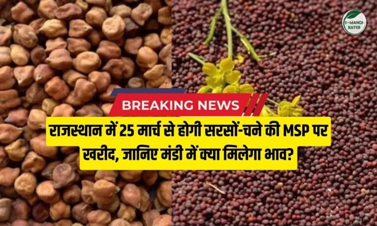 राजस्थान में सरसों और चना की MSP खरीद 25 मार्च से, 15 मार्च से ऑनलाइन रजिस्ट्रेशन, जाने क्या मिलेगा भाव?