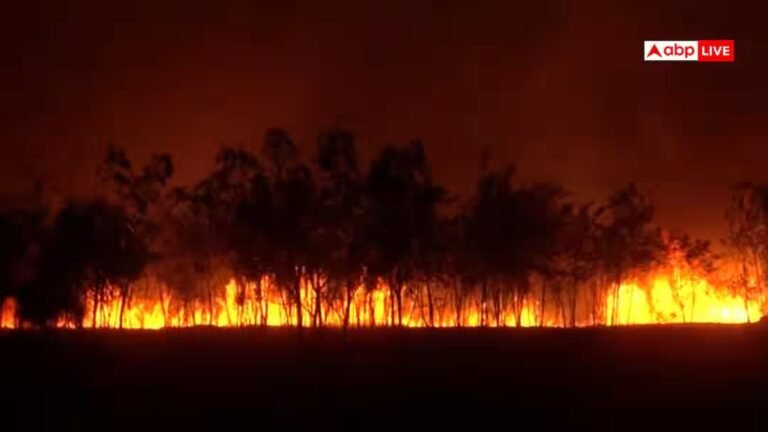 Indore Airport Fire: इंदौर एयरपोर्ट परिसर में आग, बुझाने पहुंची फायर डिपार्टमेंट की टीम 