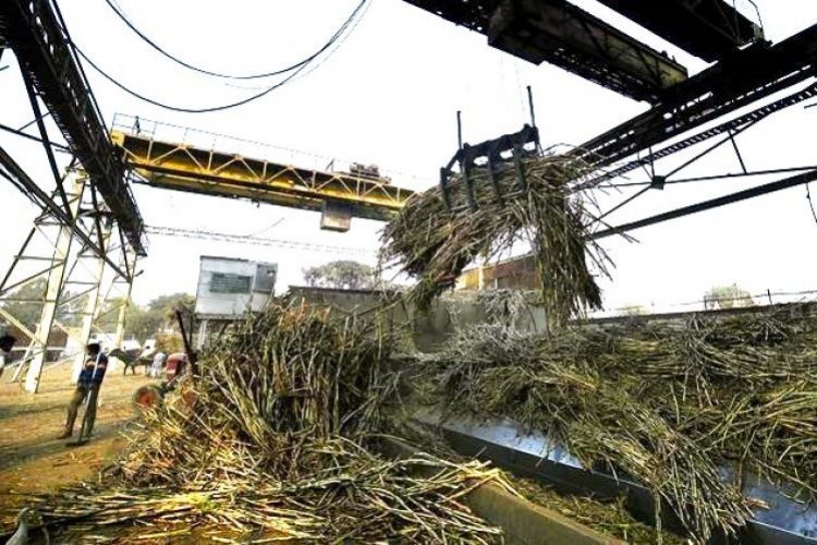 Crushing Season Nears Early End as 94% Sugar Mills Close in Maharashtra; Cane Shortage Hits UP