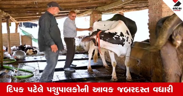 Agriculture News : પાંચ ચોપડી પાસ ‘મિરેકલ બોય’ દિપક પટેલે પશુપાલકોની આવક જબરદસ્ત વધારી દીધી !