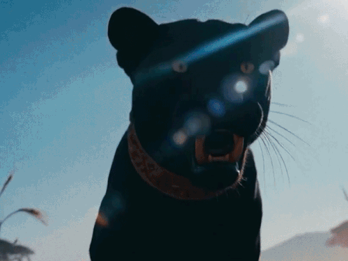 मूसेवाला का होलोग्राम टूर रिलीज, 2 करोड़ व्यूज:पहली बार पाकिस्तान में दिखेंगे पंजाबी सिंगर, मौत से पहले किया था आने का वादा