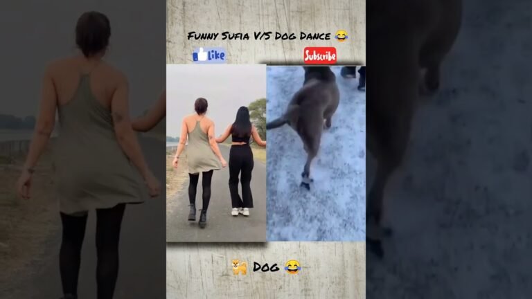 Dance Battle? Sofia Ansari Vs. Dog..😂You Won’t Believe #shorts # YouTube