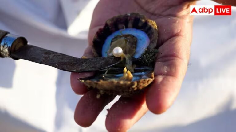 Pearl Farming: मोती की खेती से घर में होगा पैसा ही पैसा, जानें इसके लिए कितनी सब्सिडी देती है सरकार?